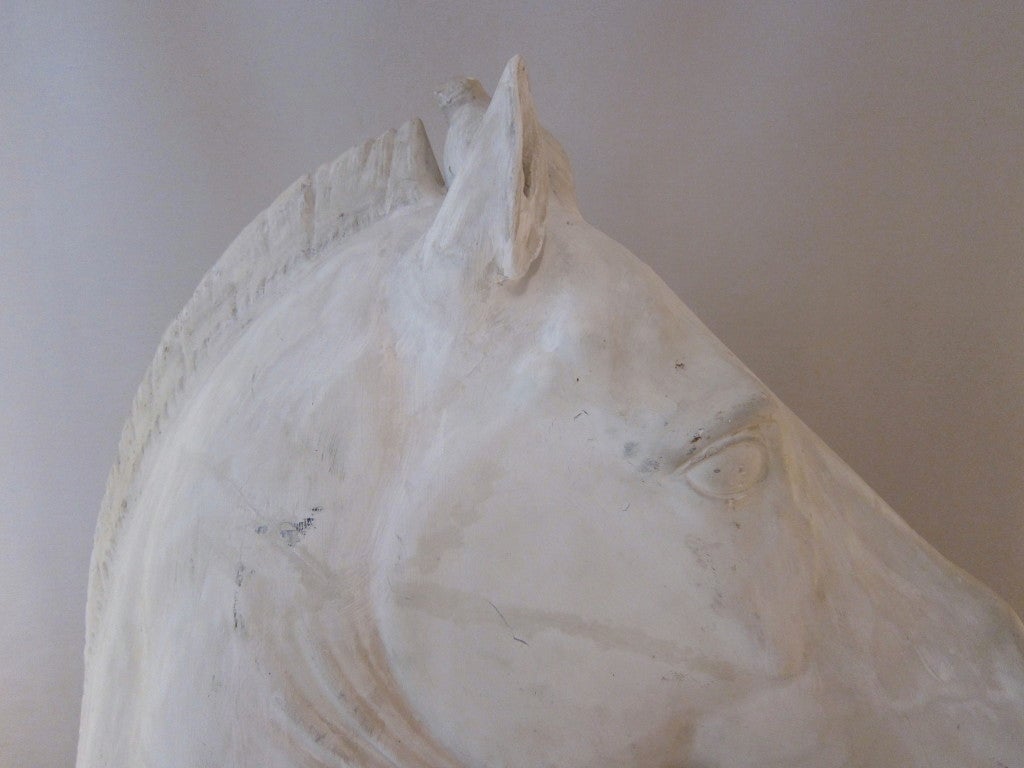 Life-size Plaster Sculpture of a Venetian Horse Head For Sale 1