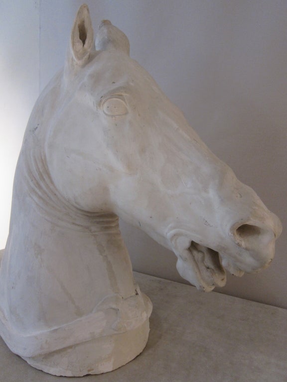 Life-size Plaster Sculpture of a Venetian Horse Head For Sale 2