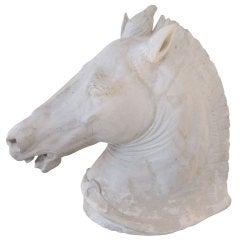 Life-size Plaster Sculpture of a Venetian Horse Head