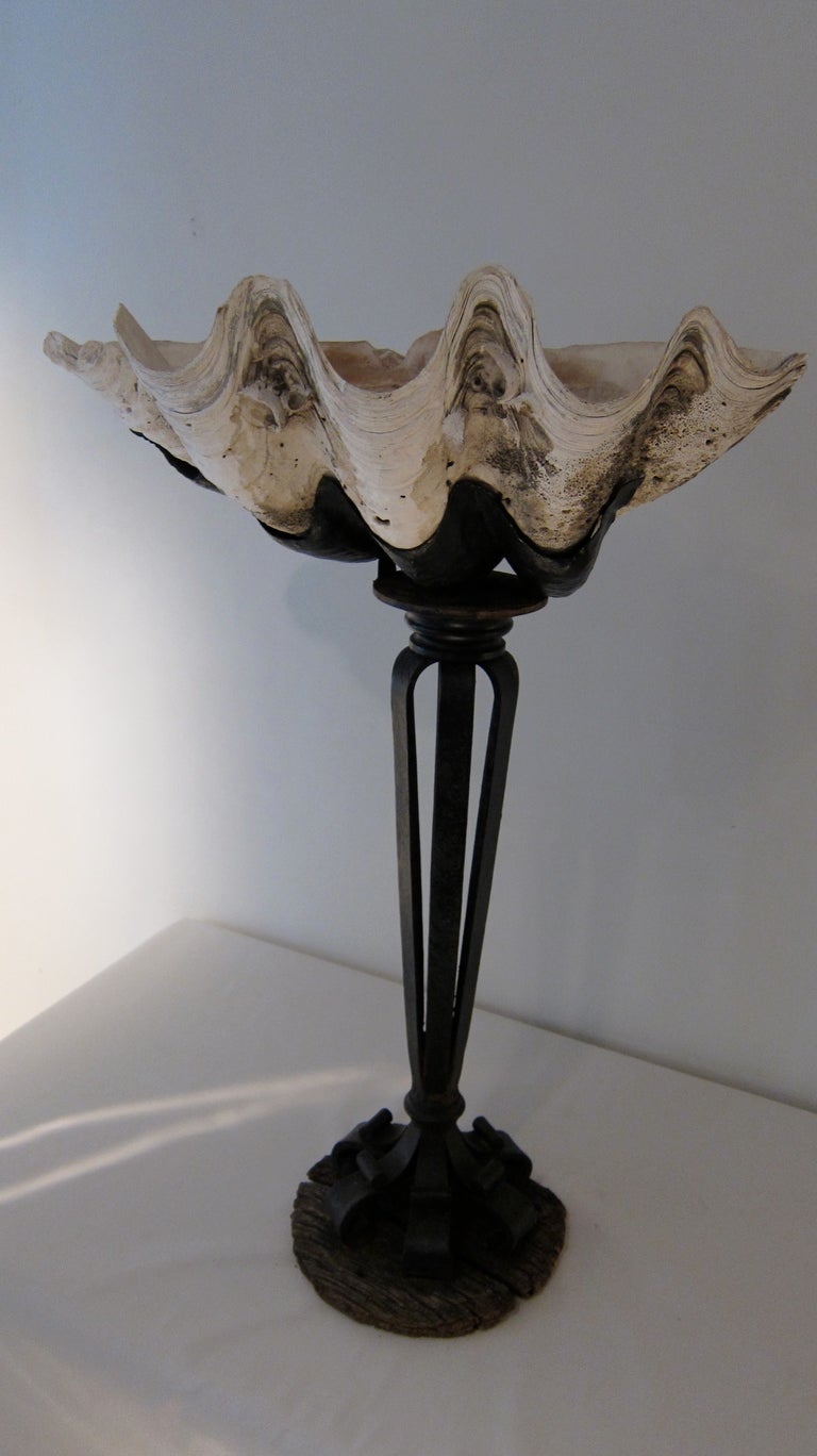 An antique iron mounted tridagta shell in Pollerat style