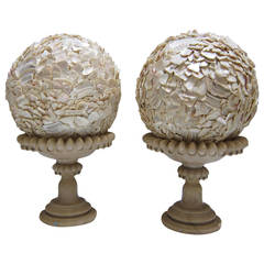 A pair of alabaster cups and Two Abalone shells. France XIXth
