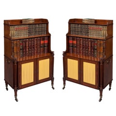 Fine and Rare Pair of Regency Bookcases