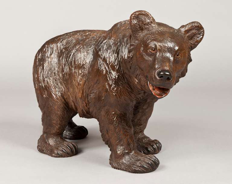 A finely carved Black Forest bear of important size, carved from walnut and with glass eyes. 

Literature: Brienz, Bernese Oberland, Switzerland

Brienz, in the Bernese Oberland, Switzerland was remarked upon in Baedeker’s Travel Guide, as