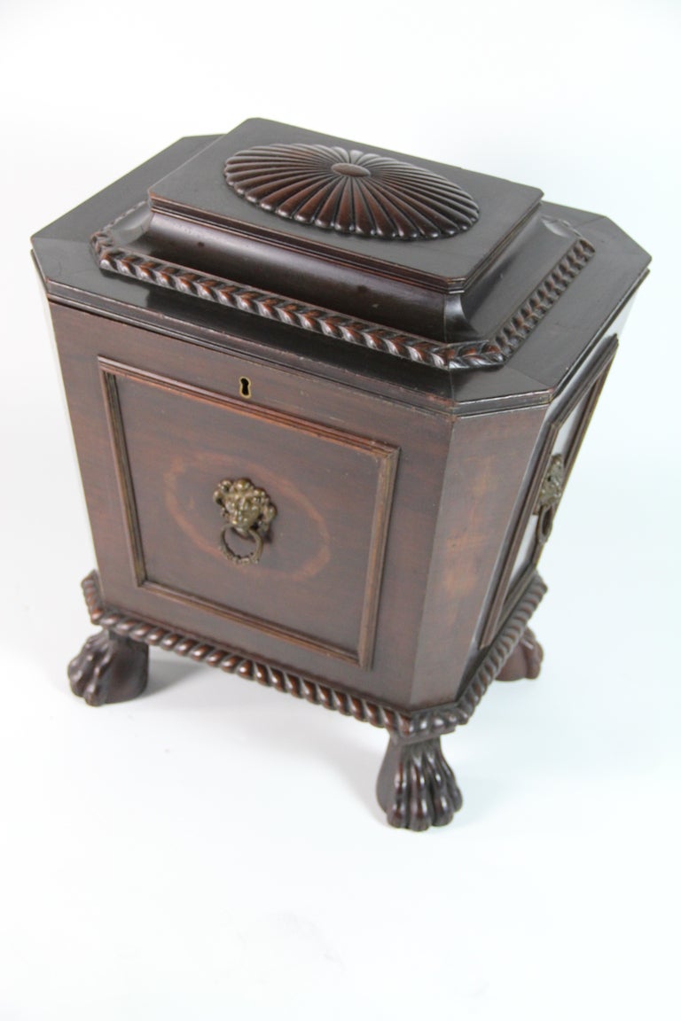 English Mahogany Wine Cooler