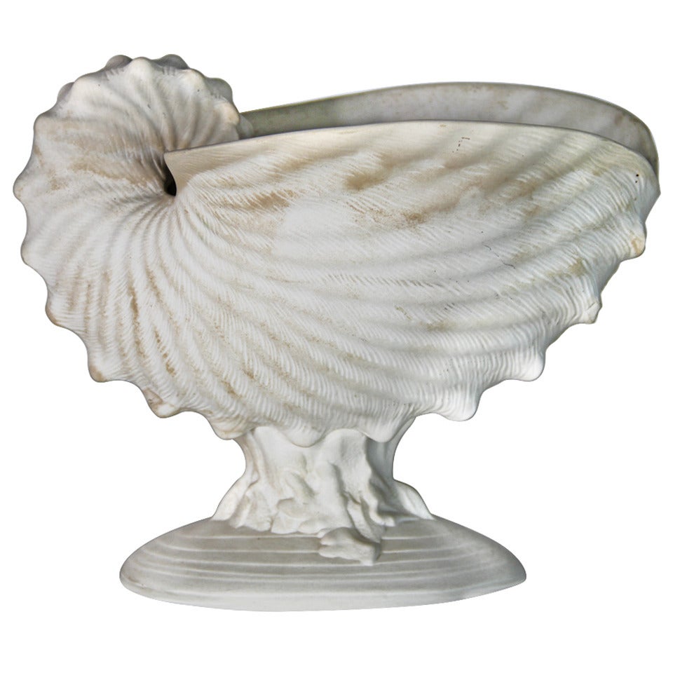 Wedgwood Shell For Sale