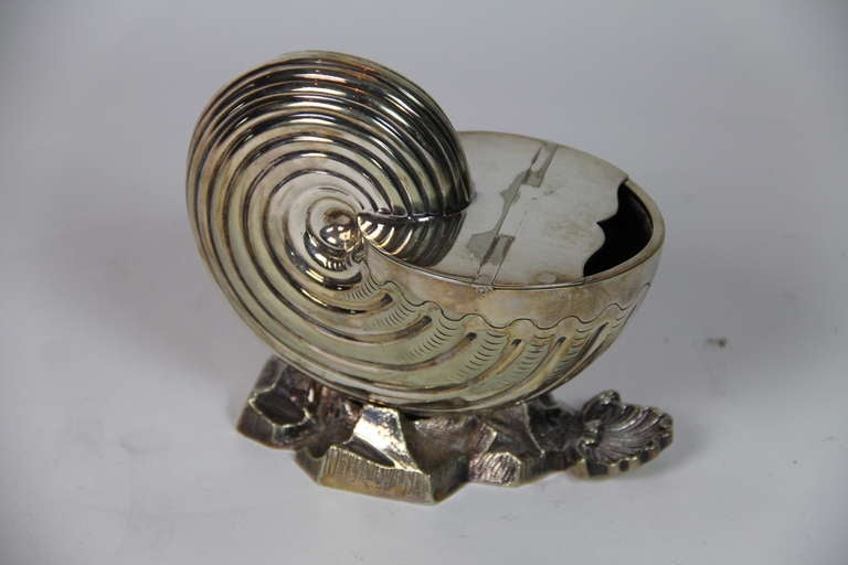 Silver plated shell