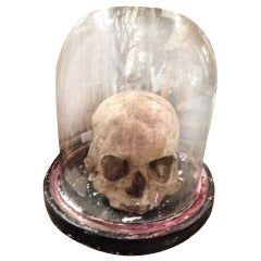 e.g."19th c. Sculpture In paper mache, "The Skull"