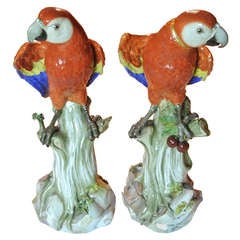 Antique Pair of Meissen Parrots