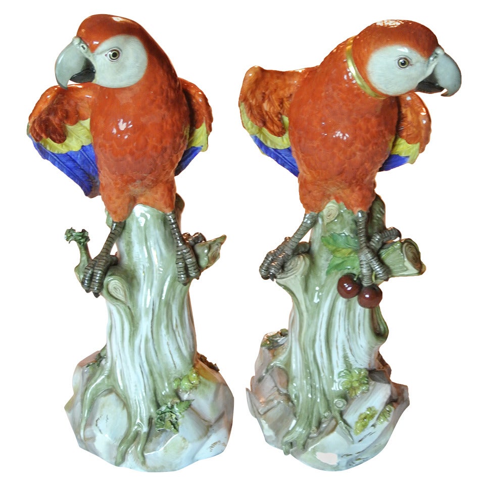 Pair of Meissen Parrots For Sale