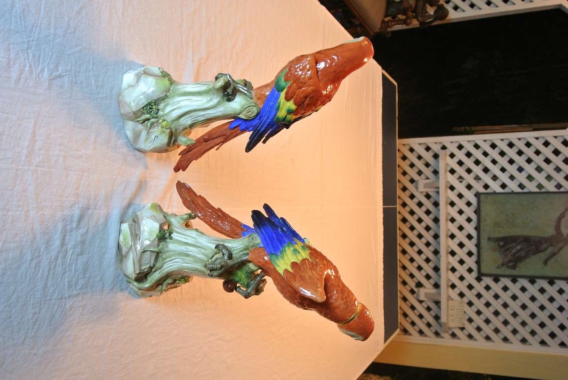French Pair of Meissen Parrots For Sale