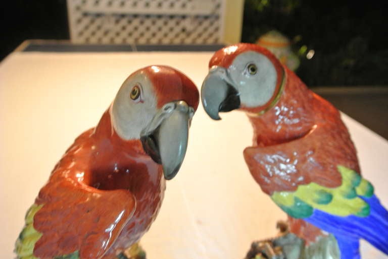 Victorian Pair of Meissen Parrots For Sale