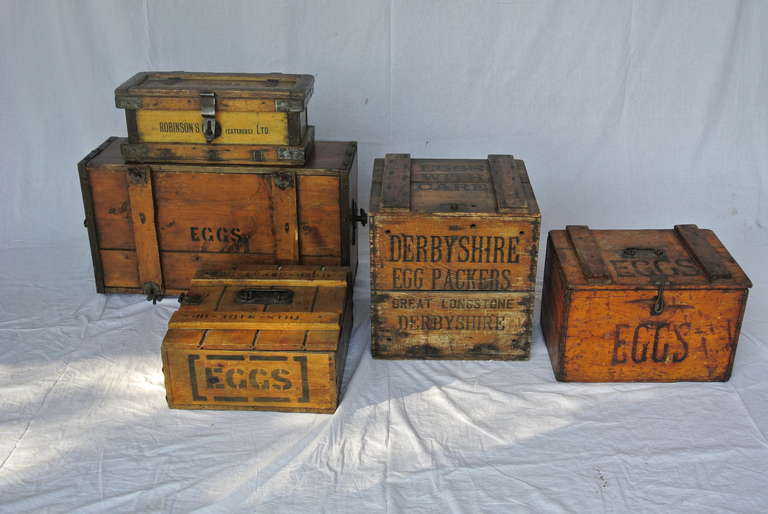 Très belle collection de 5 caisses à œufs avec script.