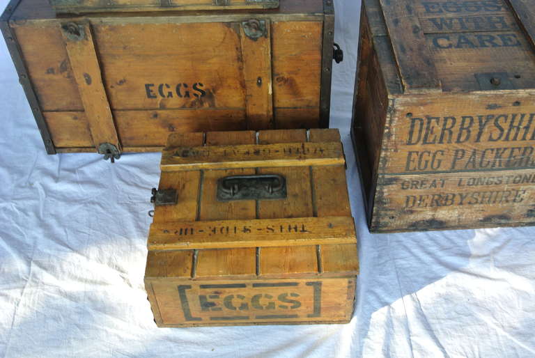 Collection d'œufs vintage en bois 1