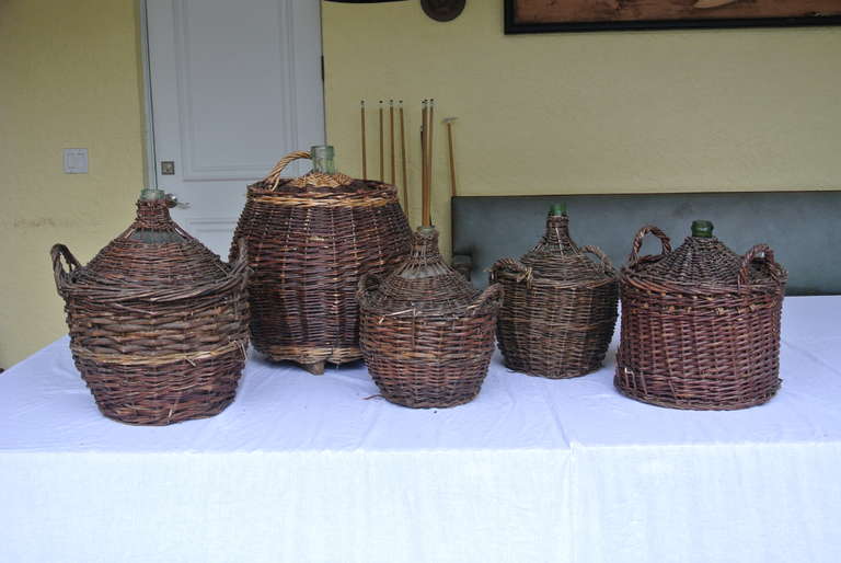 Primitive Collection of Five Large Wicker and Glass Wine Jugs SATURDAY SALE For Sale