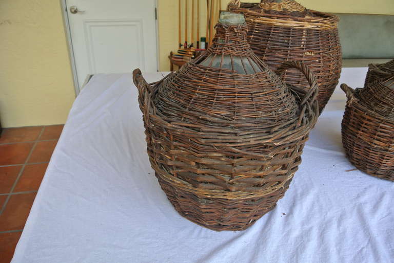 Unknown Collection of Five Large Wicker and Glass Wine Jugs SATURDAY SALE For Sale