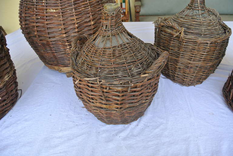 20th Century Collection of Five Large Wicker and Glass Wine Jugs SATURDAY SALE For Sale