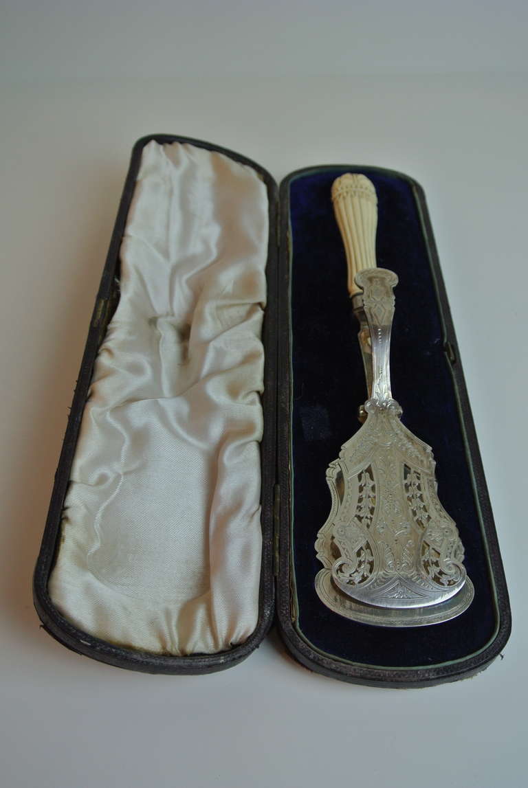 Silver and Bakelite Server
