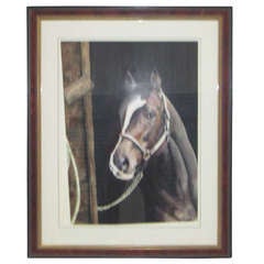 Equestrian Portrait (Karen Kirk Shields)SATURDAY SALE