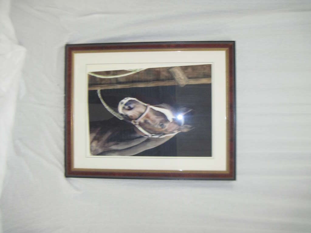 Equestrian Portrait (Karen Kirk Shields)SATURDAY SALE