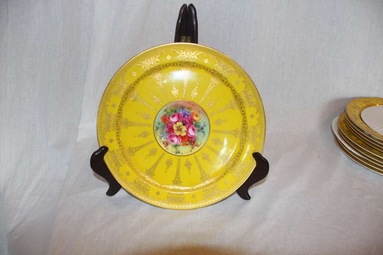 Set of 10 Royal Worcester Plates SATURDAY SALE