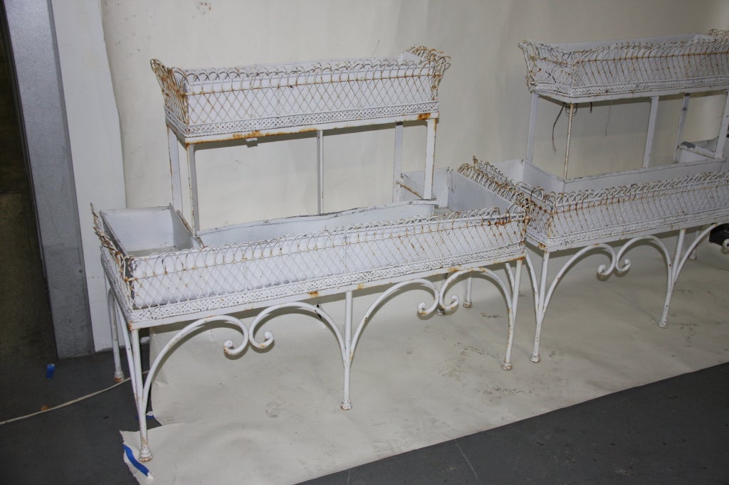 Pair of French Cast Iron Planters SATURDAY SALE