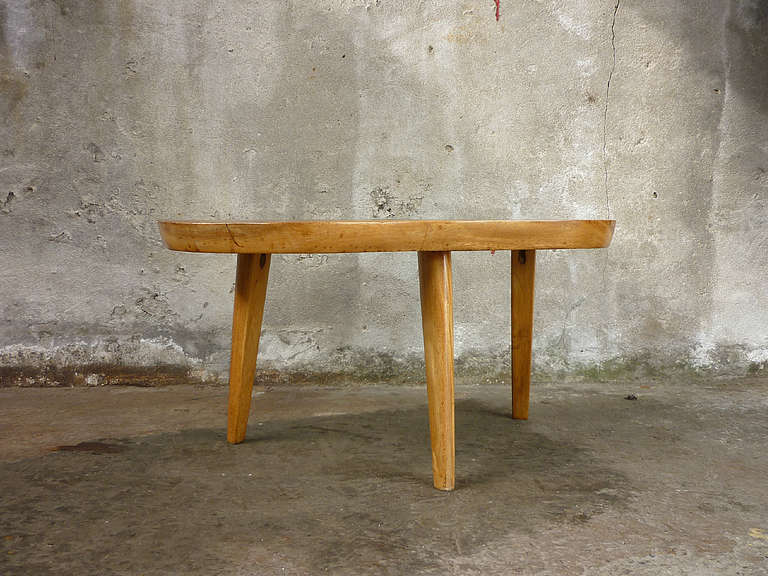 Organic Tree Trunk Table