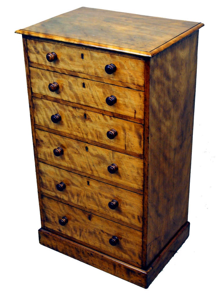 Antique Victorian Satinbirch Wellington Type Chest
