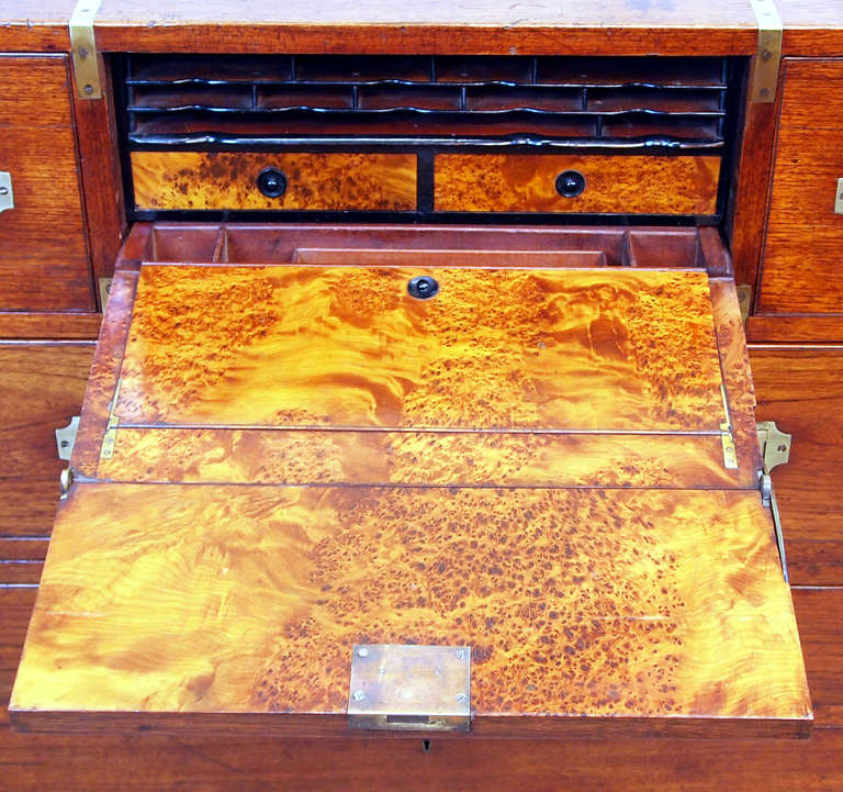 English Antique Camphor Military Campaign Chest