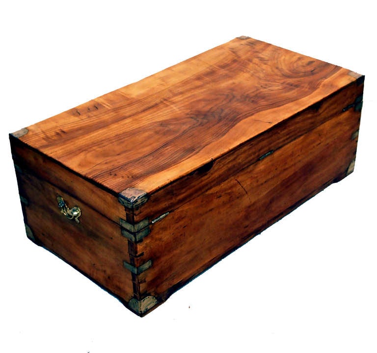 A Delightful Mid 19th Camphor Wood Military Campaign Trunk 
Having Superb Figuring, Lift Up Lid And Brass Bound Decoration. 