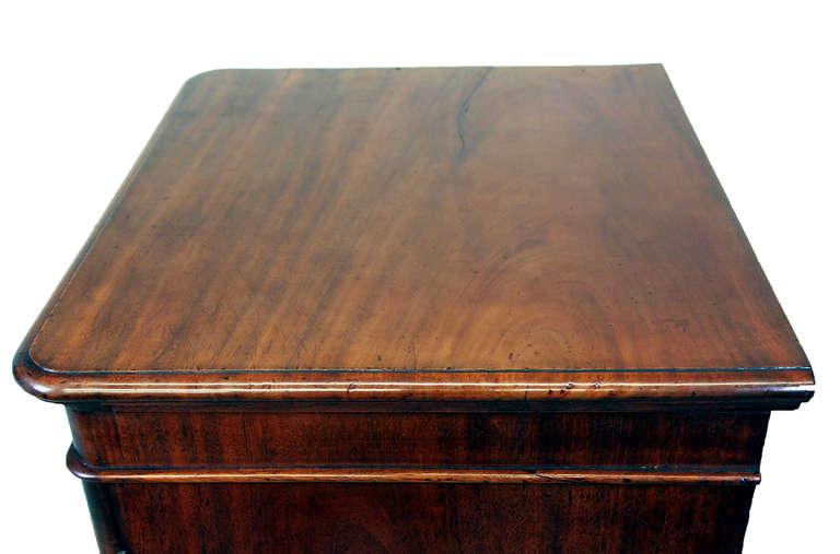Antique 19th Century Mahogany Wellington Chest In Excellent Condition In Bedfordshire, GB