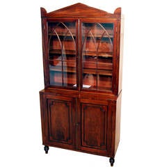 Antique Regency Mahogany Cupboard or Bookcase