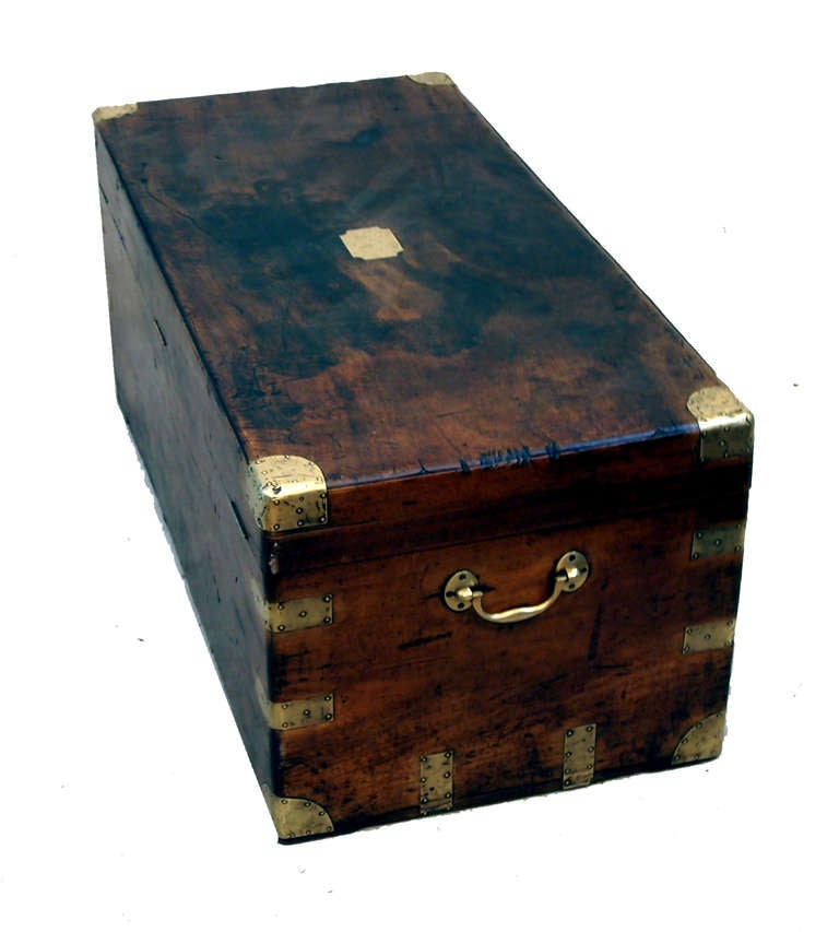 English Antique Camphor Wood Military Campaign Trunk