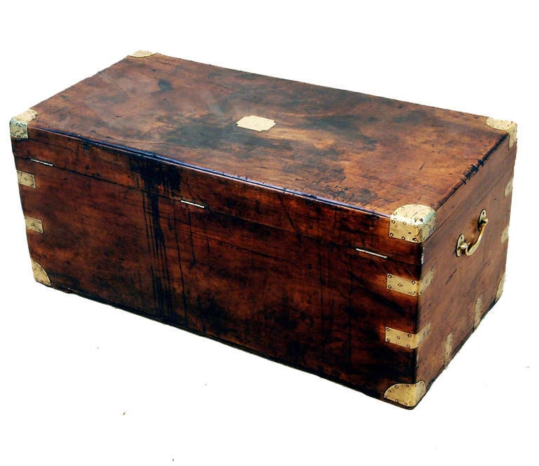 Antique Camphor Wood Military Campaign Trunk In Excellent Condition In Bedfordshire, GB