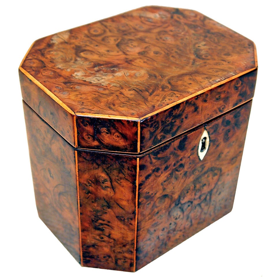 Antique Georgian Yew Tea Caddy