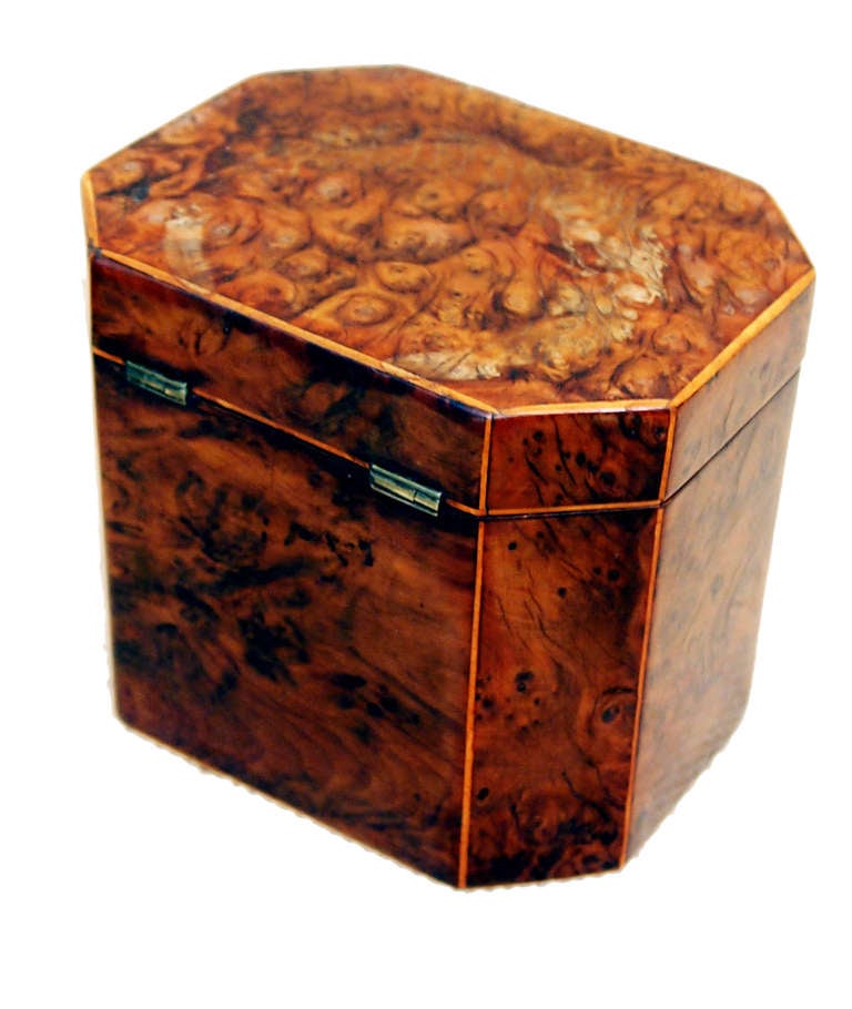 English Antique Georgian Yew Tea Caddy