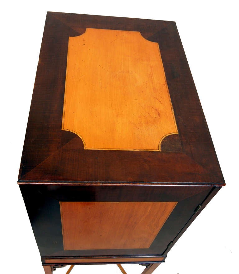 Antikes Satinholz & Harewood Sammler Kabinett