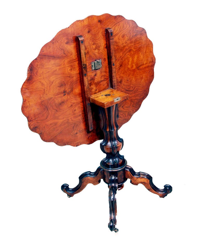 A Delightful French Mid 19th Century Burr Walnut Shaped Tilt 
Top Table Raised On Elegant Bulbous Moulded Stem Terminating 
On Four Splay Base
