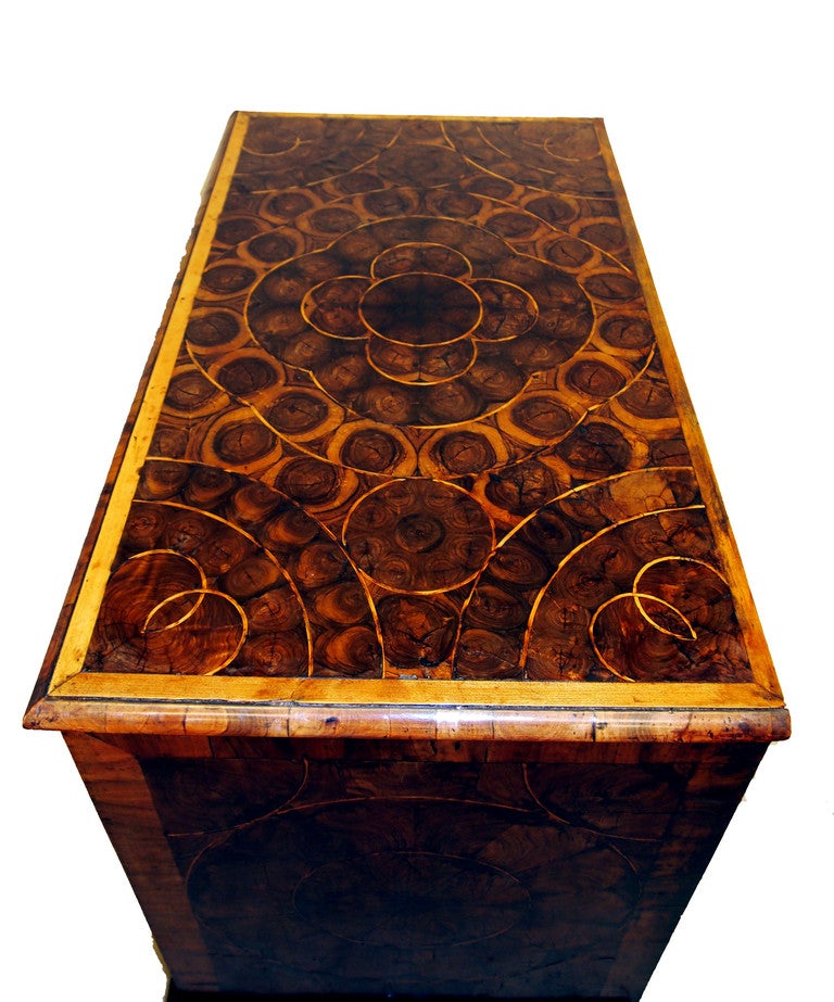 A Wonderful William And Mary Period Laburnum 
Oyster Veneered Chest Of Two Short And Three 
Long Drawers With Geometric And Banded Inlay 
Decoration Standing On Replaced Bun Feet