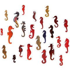 A Collection of 24 Seahorses