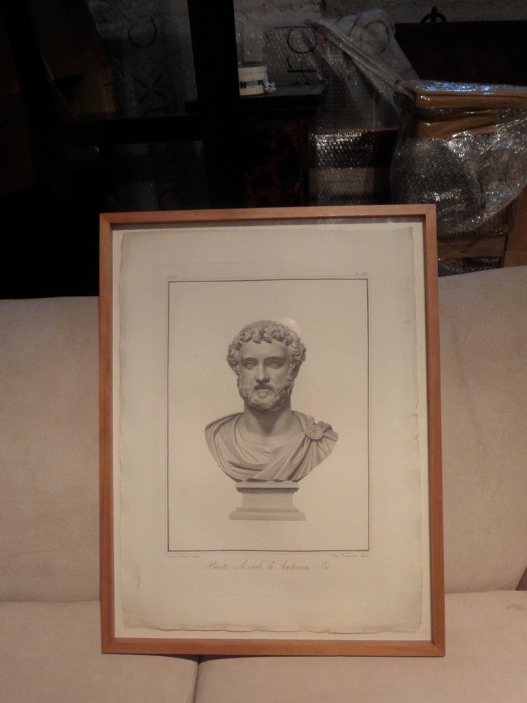 Set of 15 Prints of Antique Busts For Sale at 1stdibs