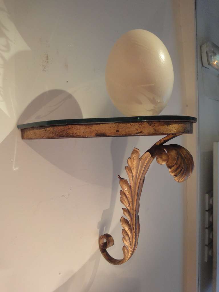 Iron Pair of Gilded Wall Brackets For Sale