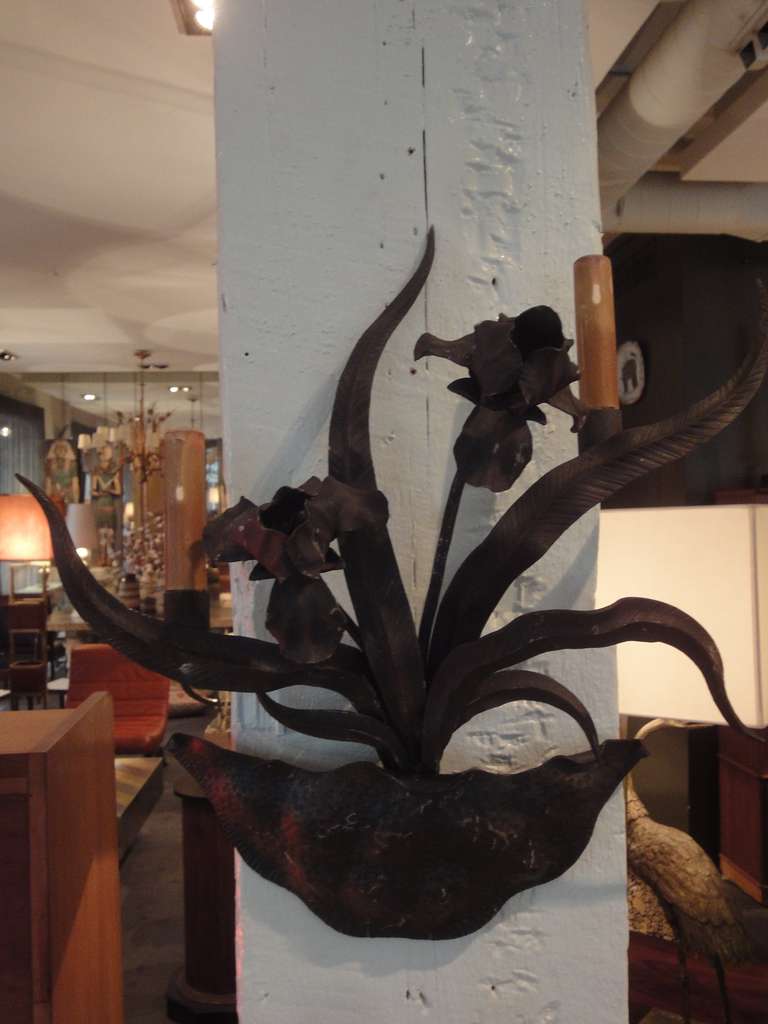 French Pair of Wall Sconces Simulating Irises For Sale