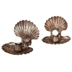 Pair of Sconces in the Shape of Shells