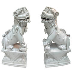 Pair of Foo Dogs in "Blanc de Chine" Porcelain