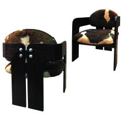 Pair of Armchairs by Tobia Scarpa