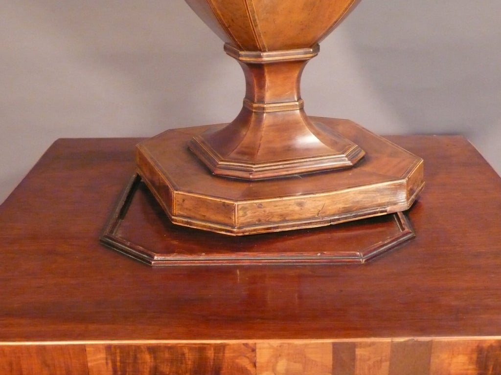Pair of George III Mahogany Knife Urns on pedestals For Sale 1