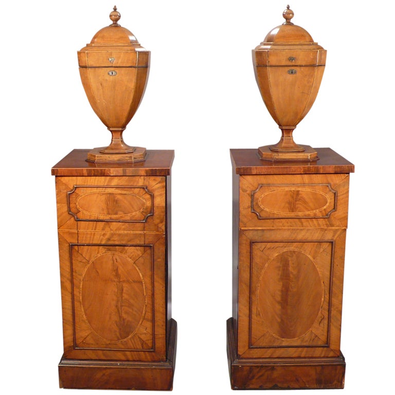 Pair of George III Mahogany Knife Urns on pedestals For Sale