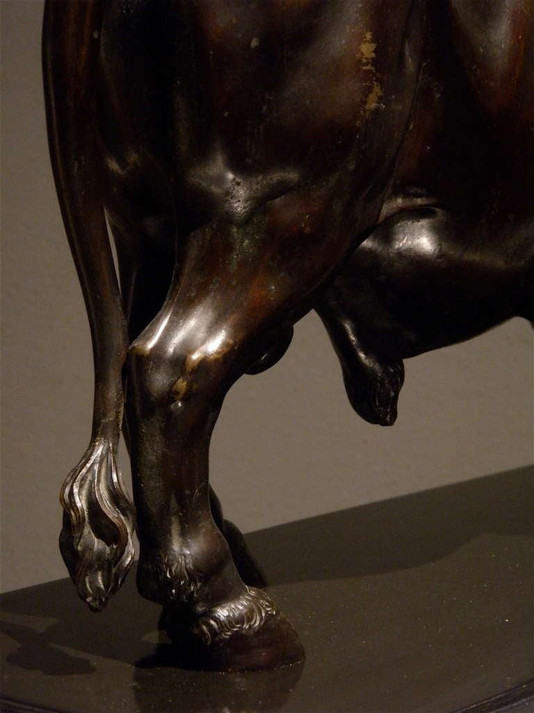 18th Century Bronze Bull Sculpture For Sale 5
