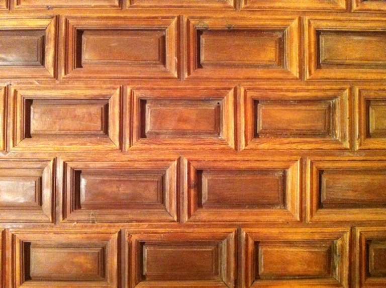 Exceptional Spanish Paneled Door in Pine and Walnut In Good Condition In Madrid, ES