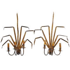 20th Century Pair of French Sconces in Gilded Metal